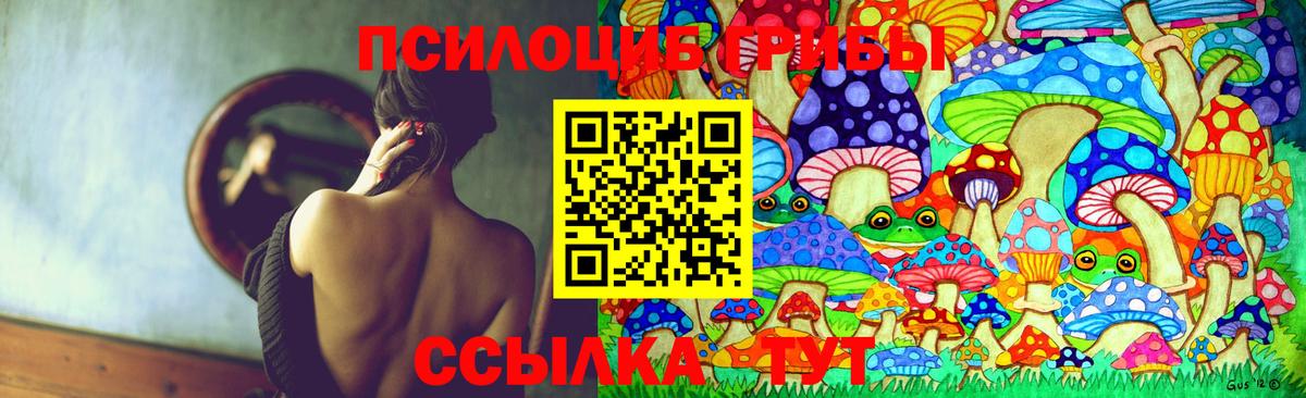 Галлюциногенные грибы Cubensis Омск